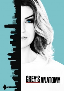 Анатомия страсти, Сезон 5