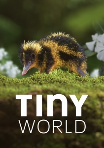 Аниме онлайн