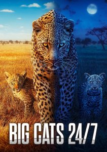 Аниме онлайн